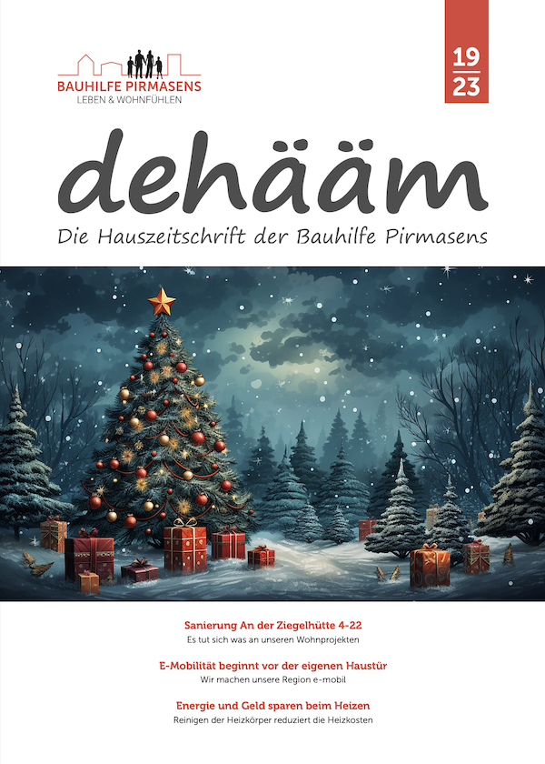 dehääm · Ausgabe 19